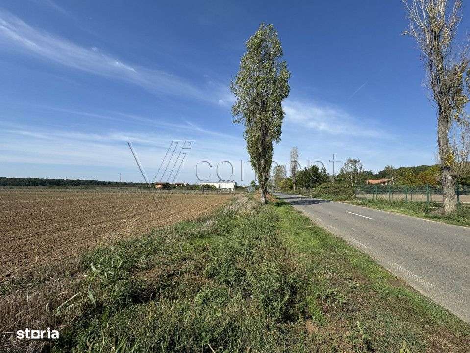 0% comision Teren intravilan – Ciolpani – Izvorani | 1.300 mp-1