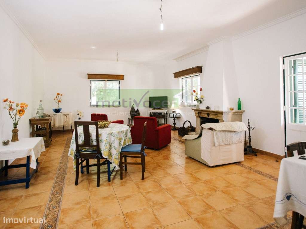 Moradia Térrea T4 em Quinta de 11.250 m² com Árvores de Fruto. Em S...-6