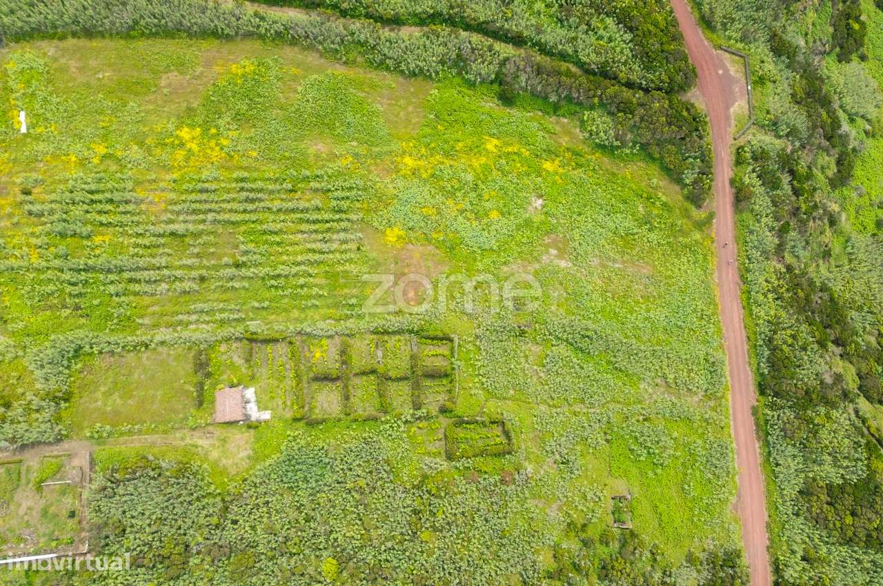 Terreno Rústico com 1815m2 no Capelo, Horta - Grande imagem: 3/8