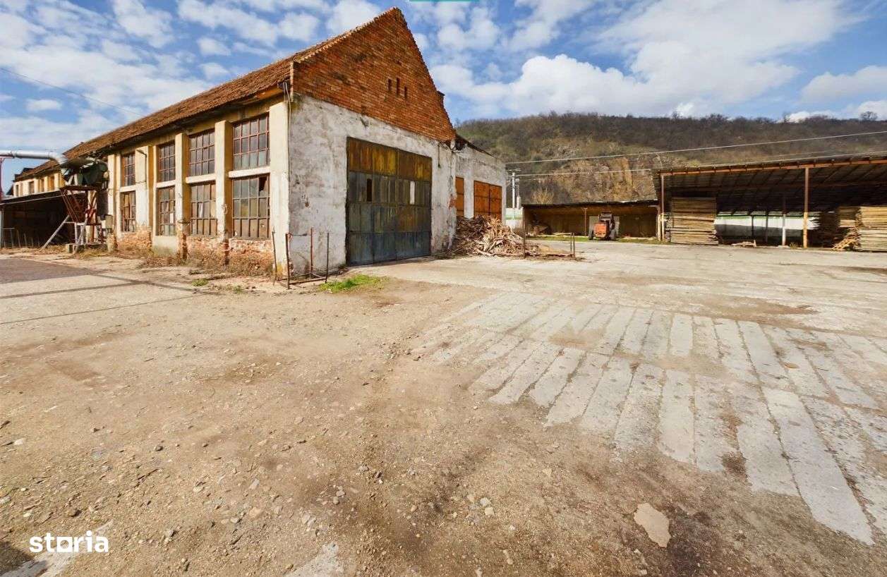 Fabrica prelucrare lemn de vanzare – Lipova, Arad-14