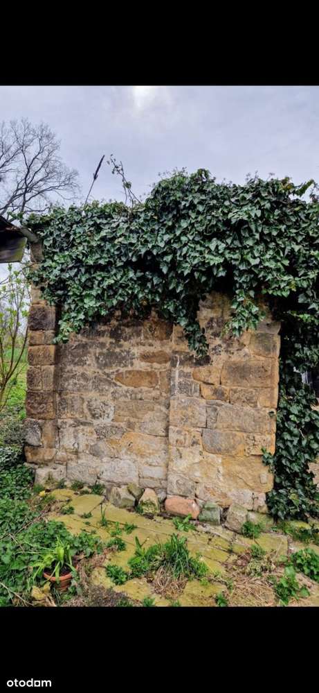 Spokojne miejsce pod agroturystykę-14