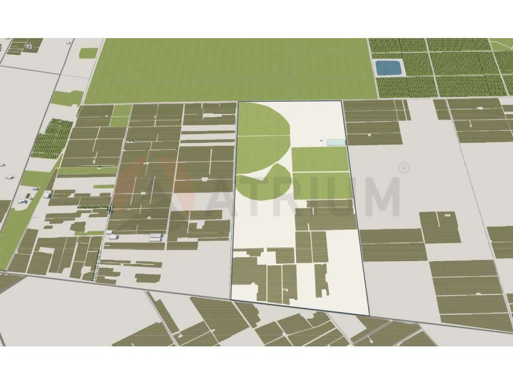 Terreno com 46,975 m2, Areias Gordas, Palmela - Grande imagem: 2/3