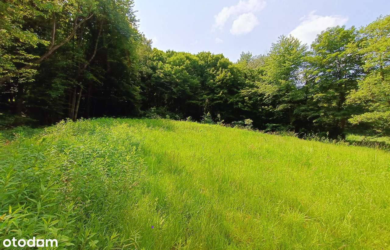 Działki na Roztoczu - Bondyrz-5