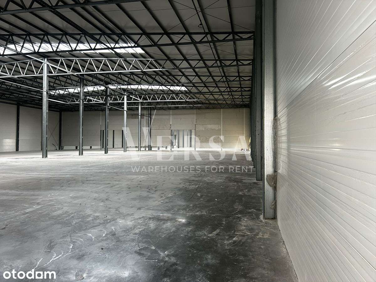 Wólka Kosowska 2500 mkw - 0% Prowizji - Pełny obrazek: 5/7