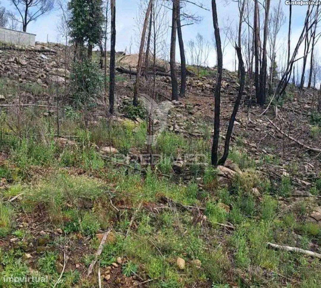 Terreno para construção em Balde Santa Leocádia-Baião com vistas pa... - Grande imagem: 5/6