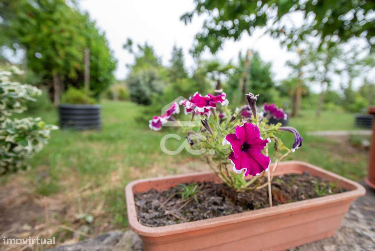 Quinta com moradia charmosa a poucos minutos do centro de Chaves-31