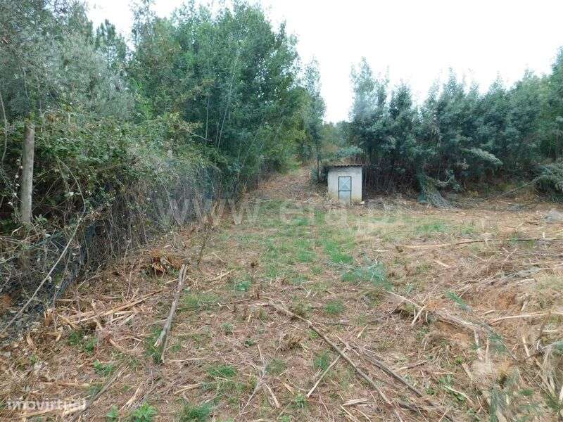 Terreno Rústico / Fundão, Alcaide - Grande imagem: 4/20