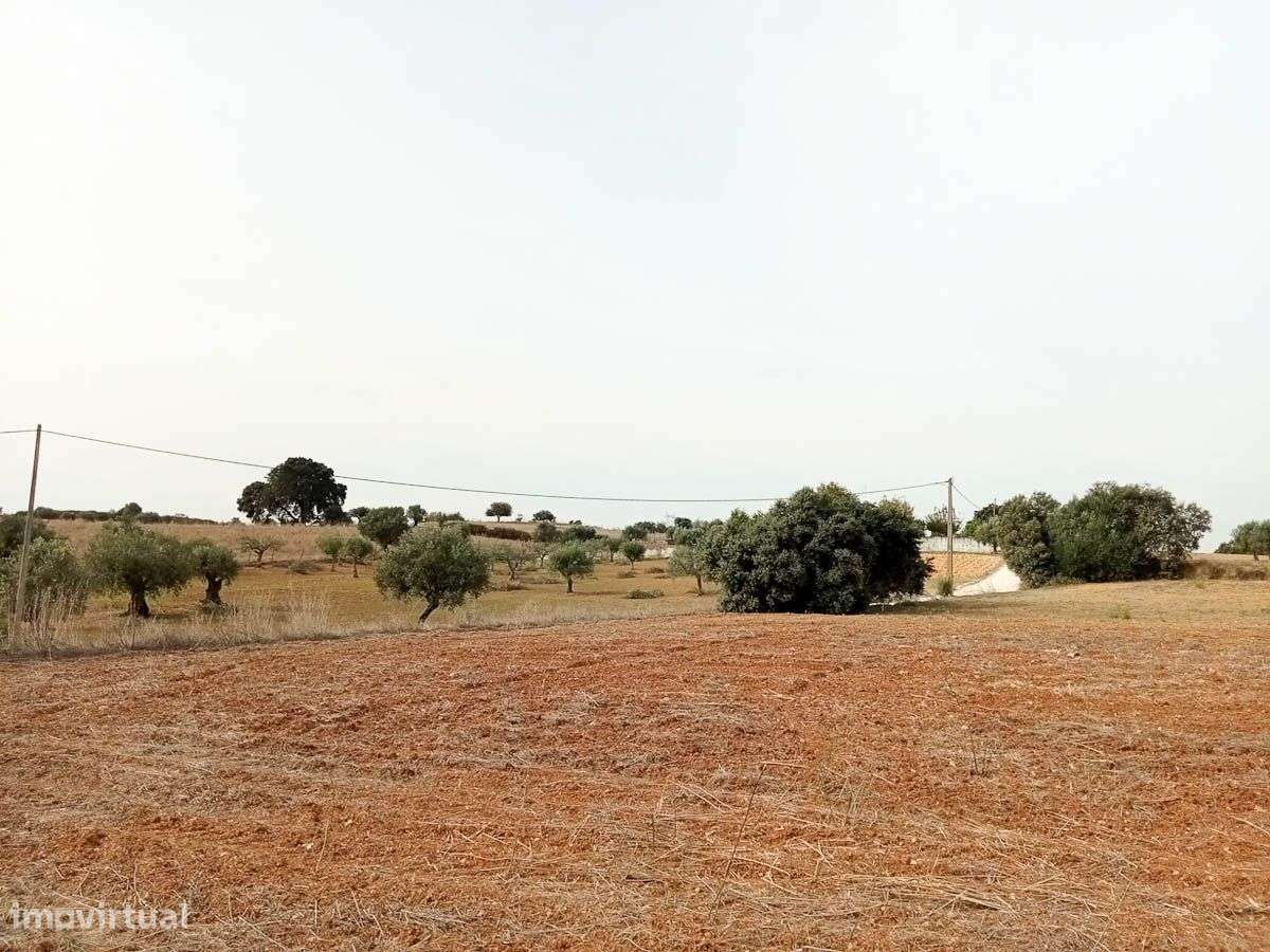 Terreno, 10 200 m², Achete, Azoia de Baixo e Póvoa de Santarém - Grande imagem: 5/7