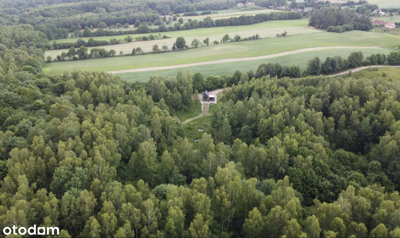 Wyjątkowa nieruchomość:  Wzgórza Dylewskie - prywatności i natury - Pełny obrazek: 4/9