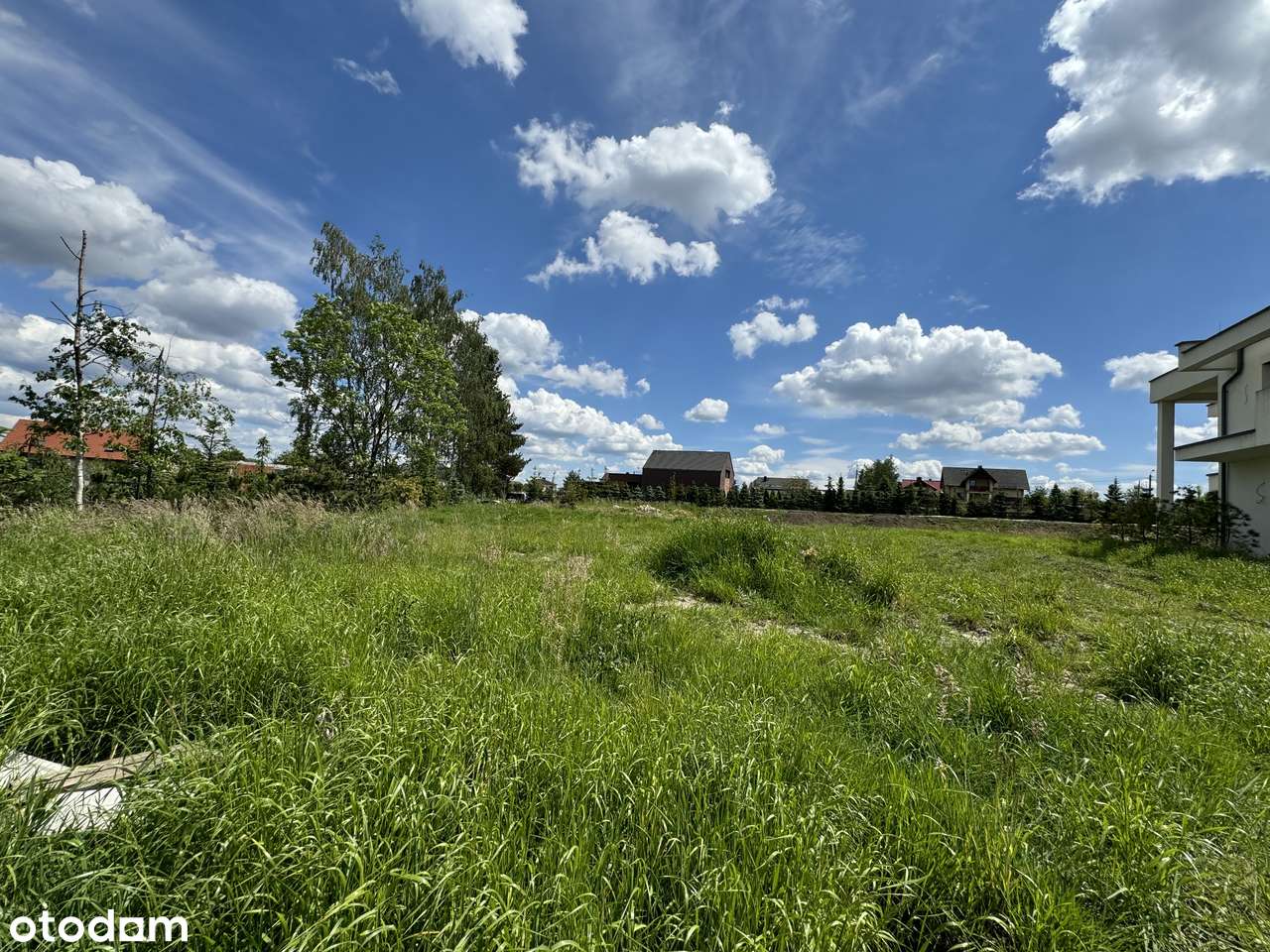 M-CE, MORGI | Idealna działka w znakomitej lokalizacji | Bez prowizji!-1