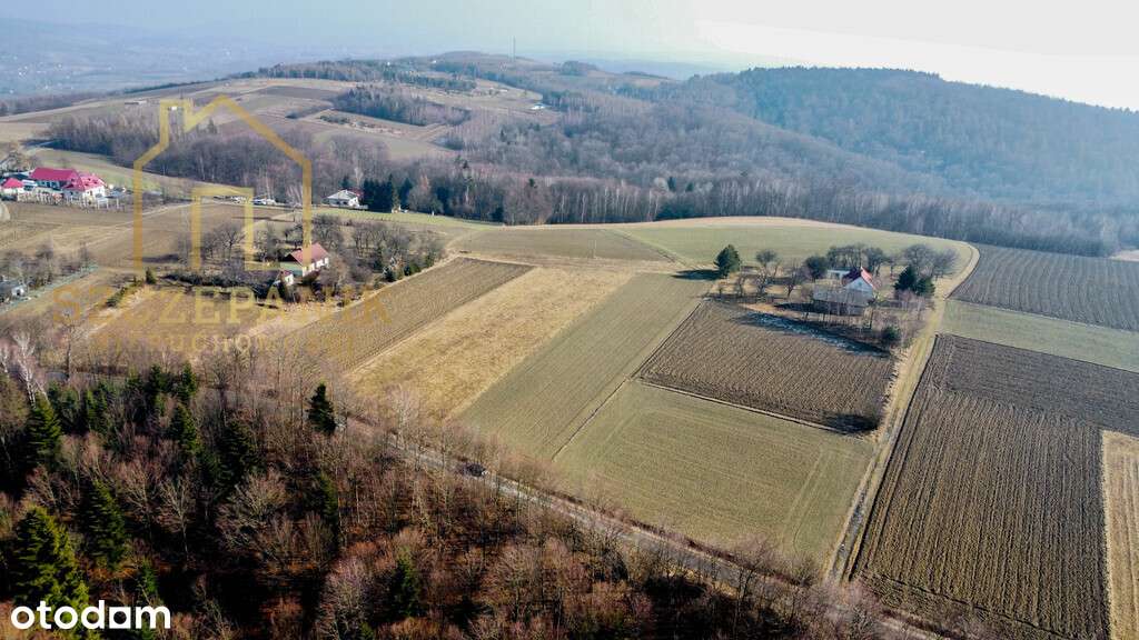 Piękna działka Budowlana w Sowinie - Pełny obrazek: 3/6