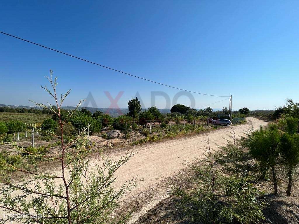 Terreno Rústico em Vale de Igreja. - Grande imagem: 5/23