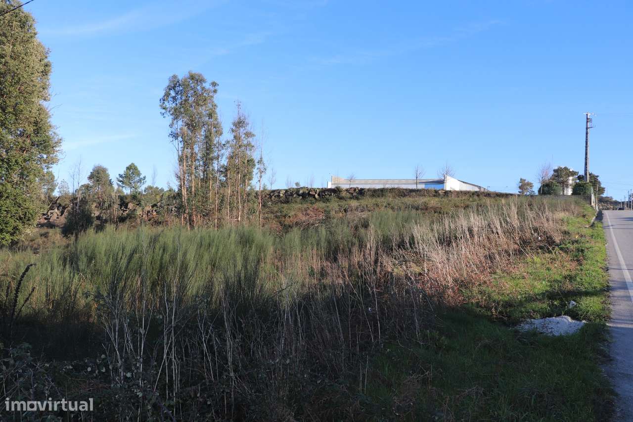 Terreno Para Construção  Venda em Lustosa e Barrosas (Santo Estêvão),L - Grande imagem: 3/6
