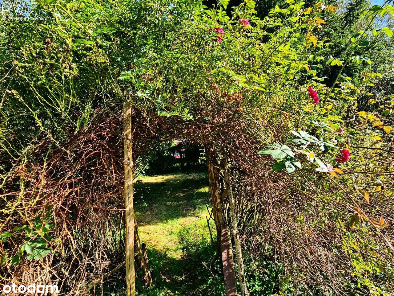 Wyjątkowe siedlisko, dom stodoła-14