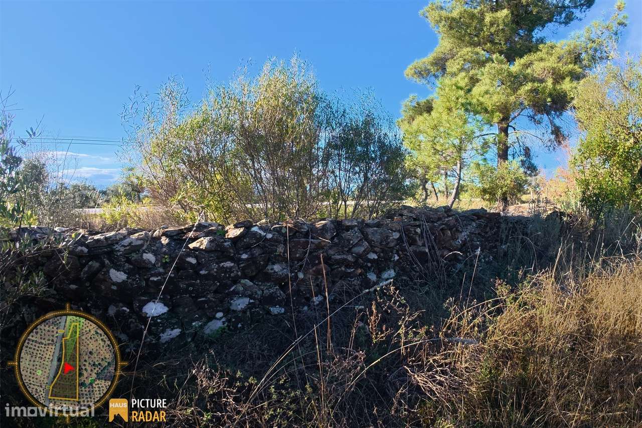 Terreno Plano 6.700m² c/ Vistas Panorâmicas – Salgueiro do Campo-19