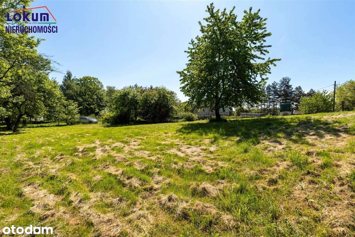 Drogomyśl - dom w centrum na dużej działce - Pełny obrazek: 5/18