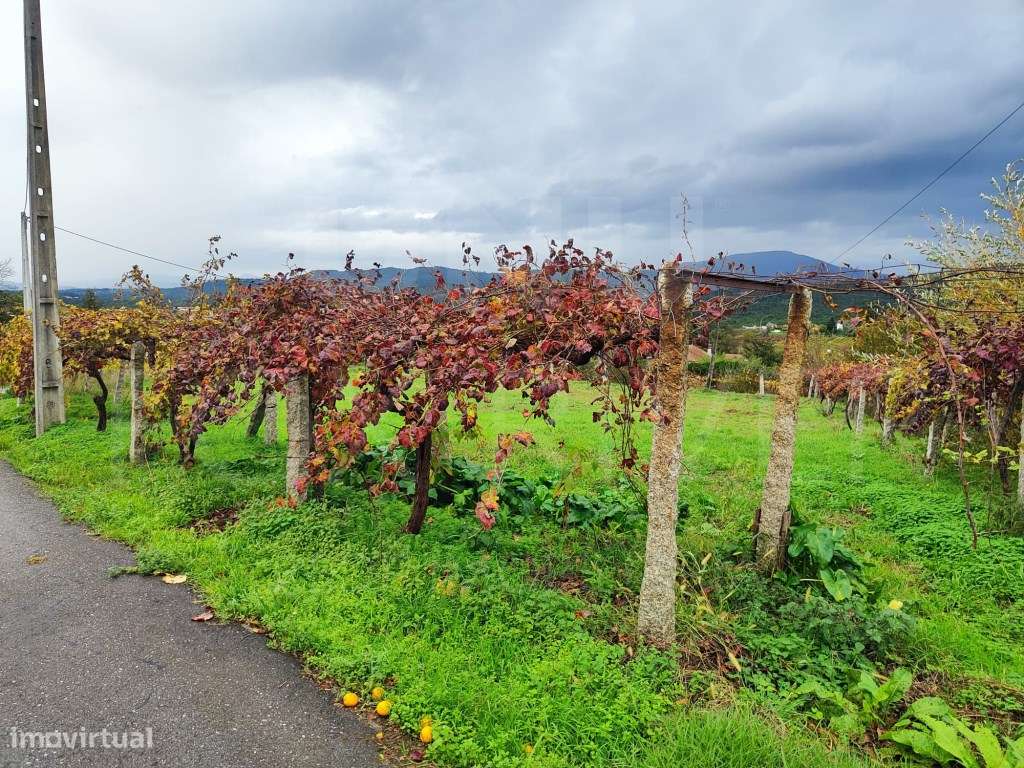 Terreno para Construção - Messegães, Valadares e Sá - Grande imagem: 4/6