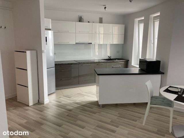 Do wynajęcia mieszkanie 48m - Ul. Zygmuntowska 12 - Pełny obrazek: 4/12