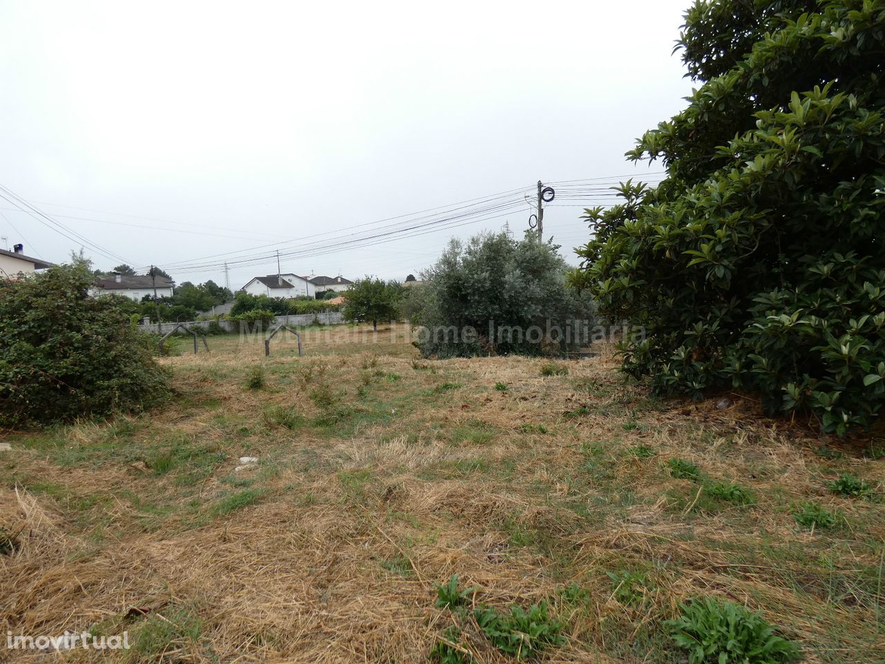 Terreno Para Construção  Venda em Santa Comba,Seia