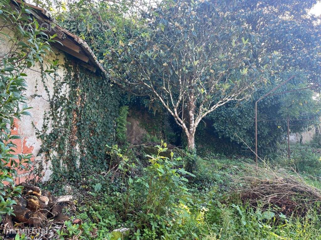 Casa rural para recuperação em Ansião-26