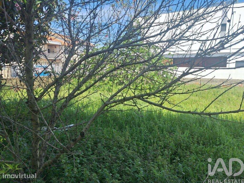 Terreno para construção em Fernão Ferro - Grande imagem: 4/4
