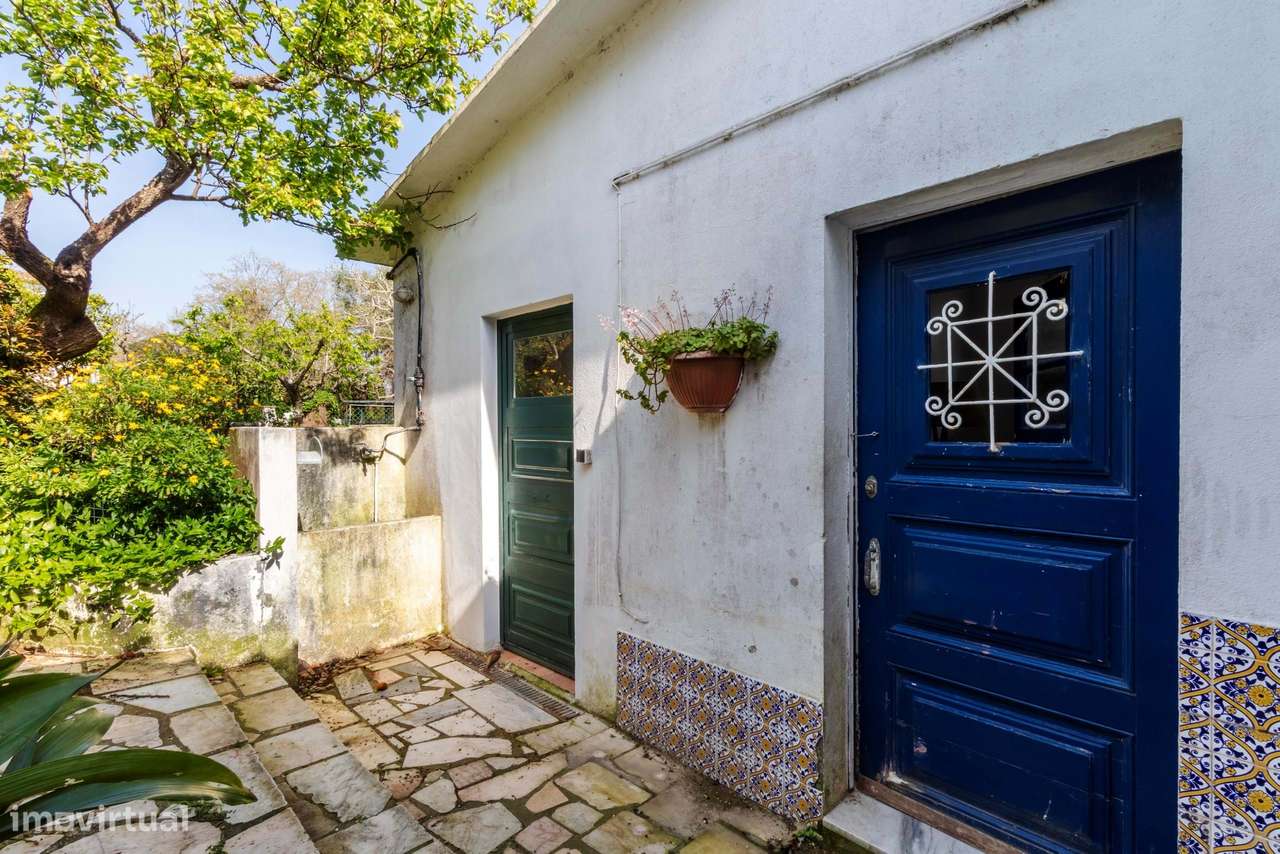 Moradia T6 c/ Terreno de 1600m2 c/ Piscina, Garagem e Anexos em Colare-16