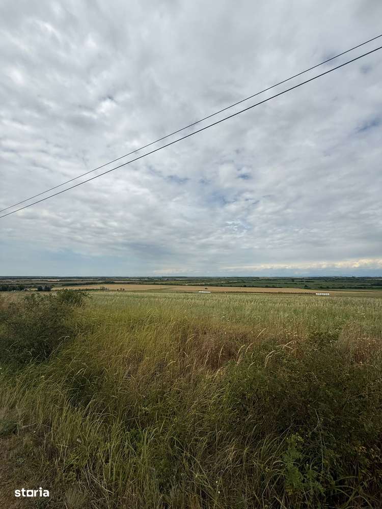 Teren intravilan 2000 mp de vânzare în Ardud, front stradal 36 m-0