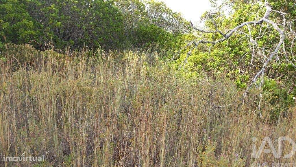 Terreno em Loulé (São Clemente) de 700,00 m2 - Grande imagem: 2/4