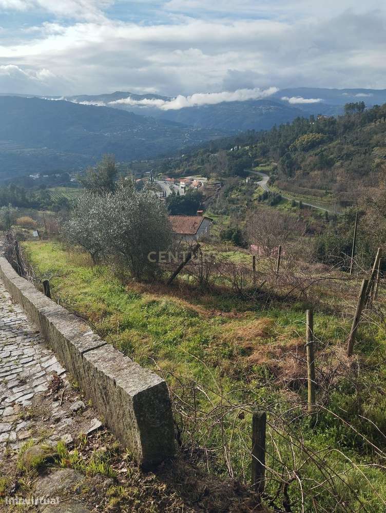 Terreno com projeto para dispensa agrícola em Santa Cruz do Douro, Bai - Grande imagem: 5/16