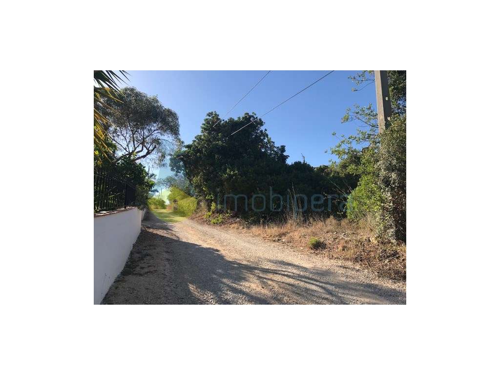 PARCELA DE TERRENO COM VISTAS FANTÁSTICAS - Grande imagem: 2/15