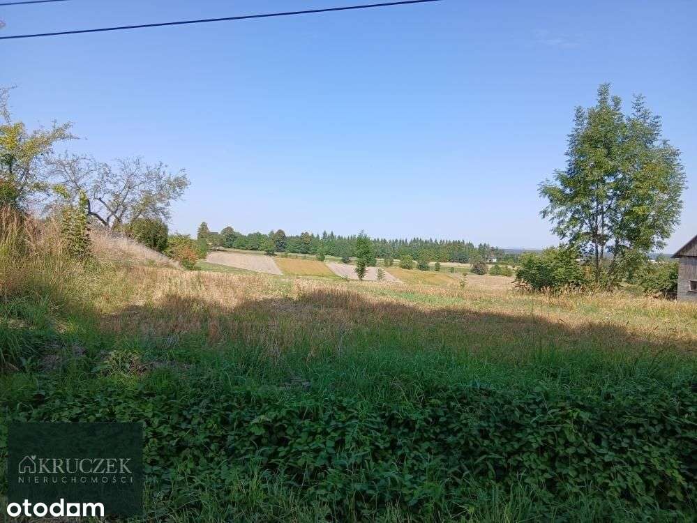 Działka, 6 140 m², Grodkowice