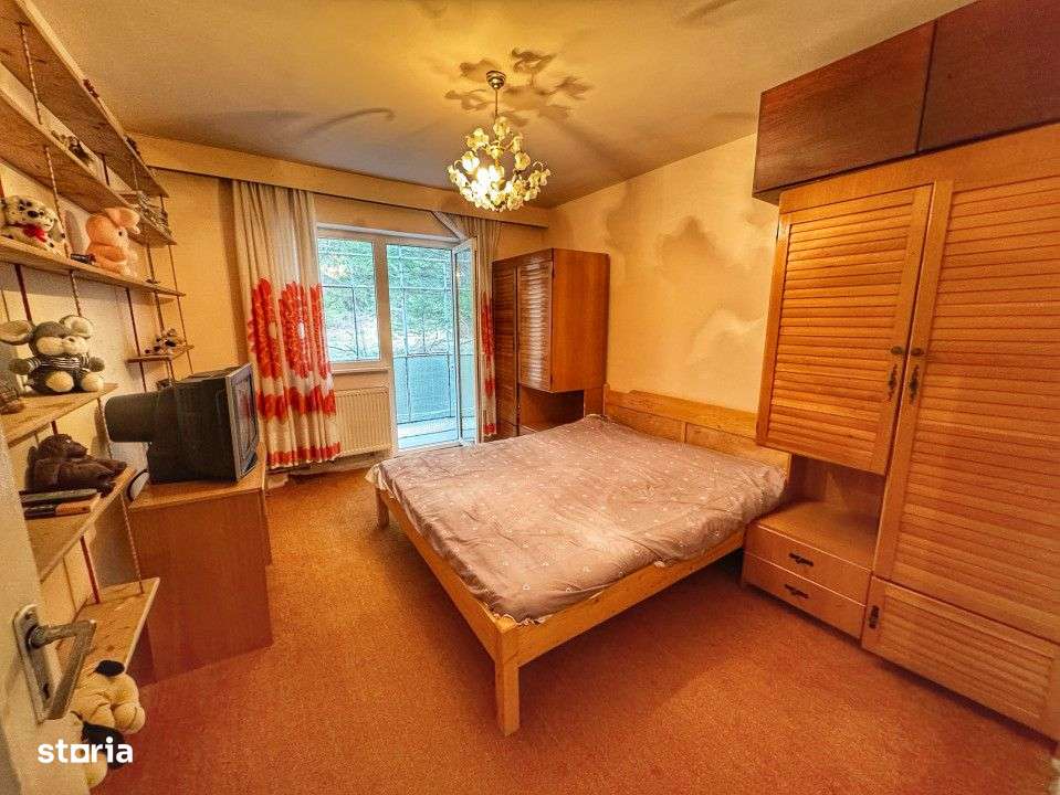 Apartament 2 camere in mijlocul naturii-Statiunea Paltinis-2