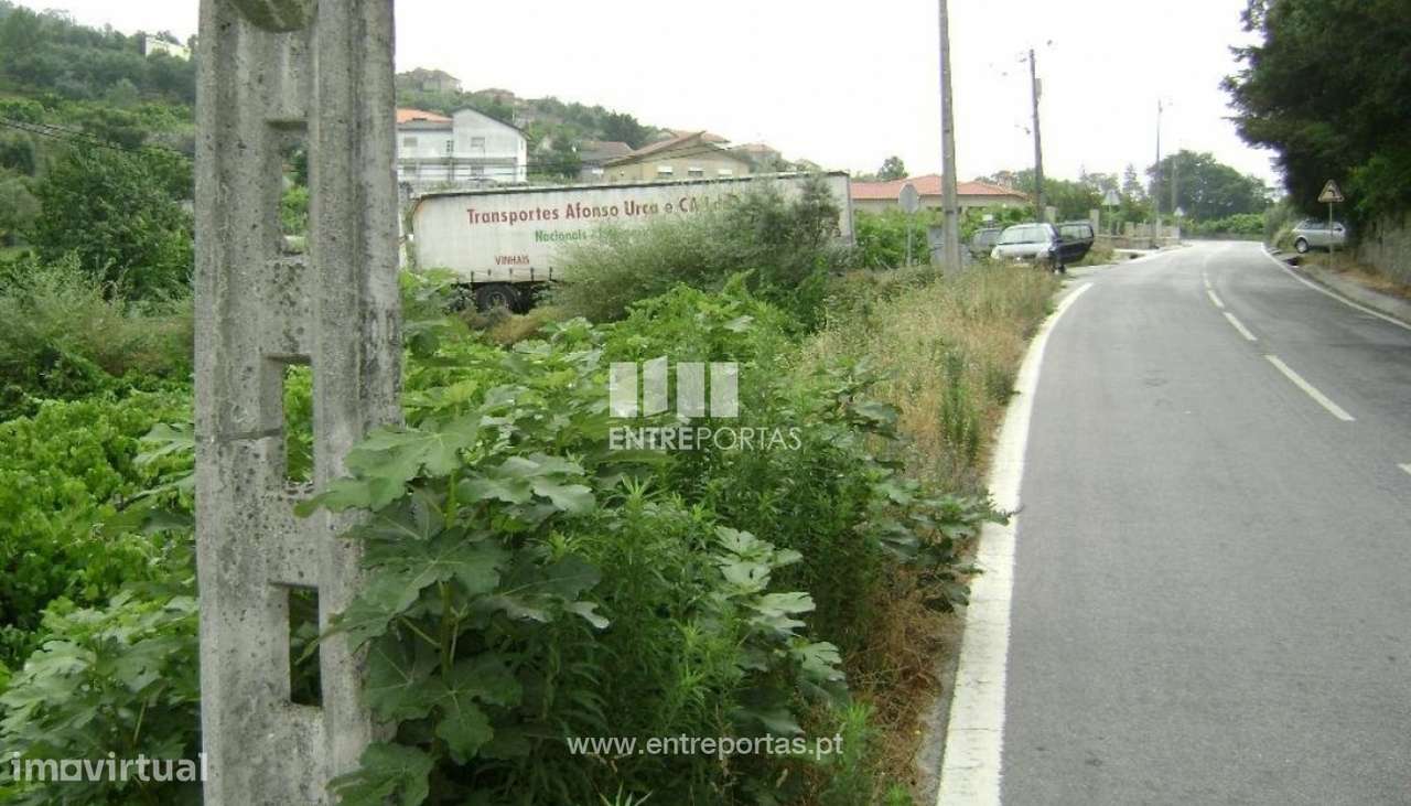 Venda Terreno, Ancede, Baião - Grande imagem: 5/7