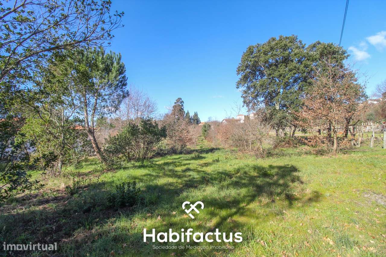 Terreno em Mangualde - Grande imagem: 4/14