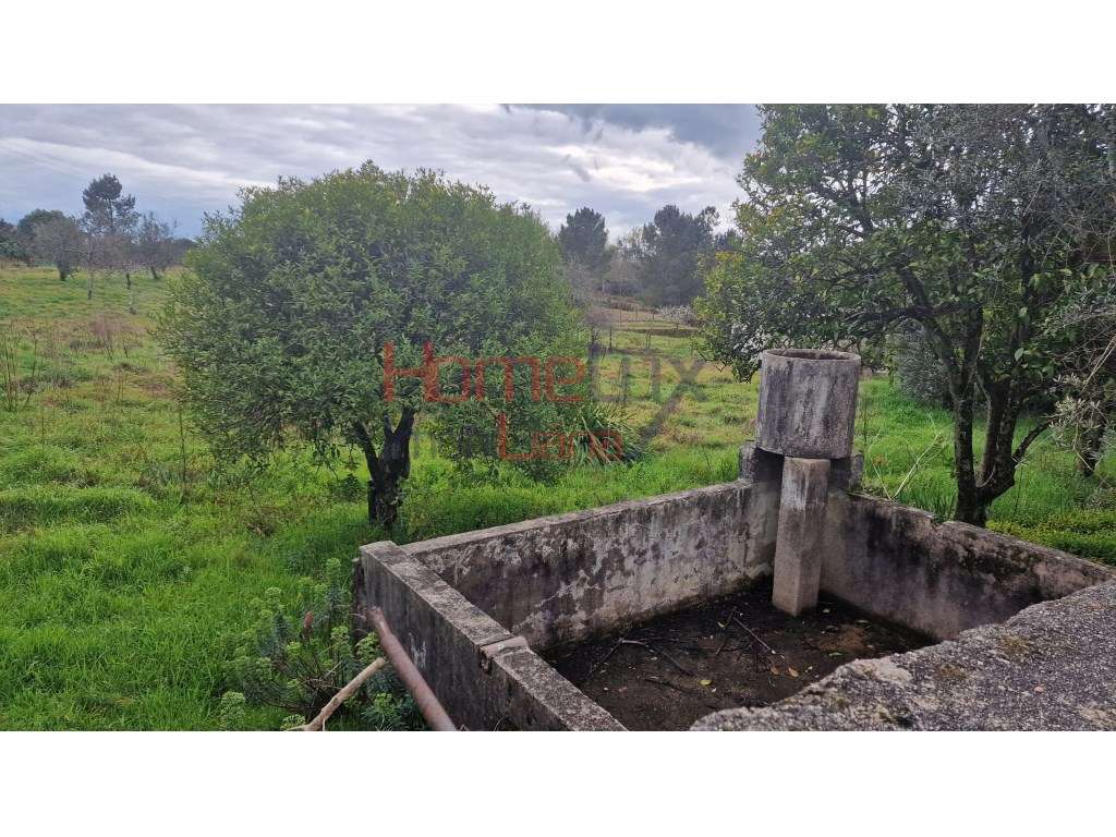 Terreno em Santiago de Besteiros - Grande imagem: 4/16