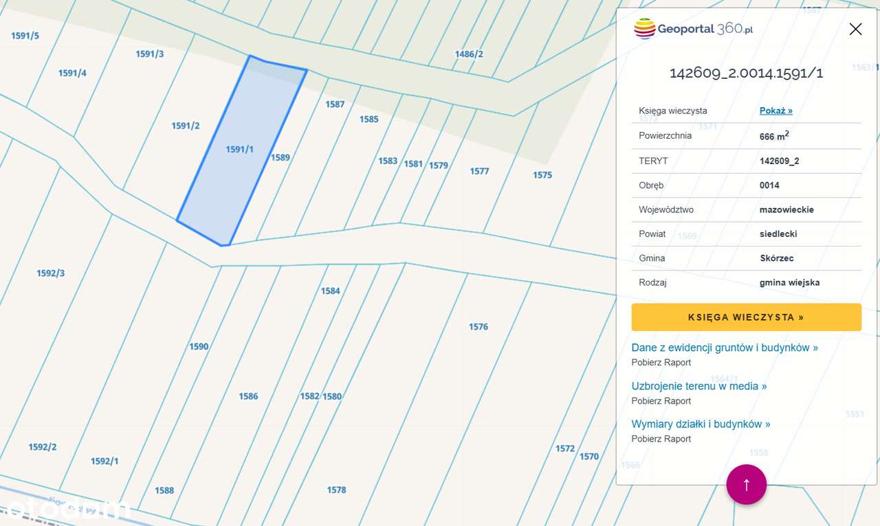 Urokliwa działka z własną linia brzegowa rzeki - Pełny obrazek: 2/4