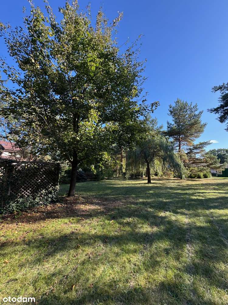 przepiękna topowa działka w Wesołej - Pełny obrazek: 1/20