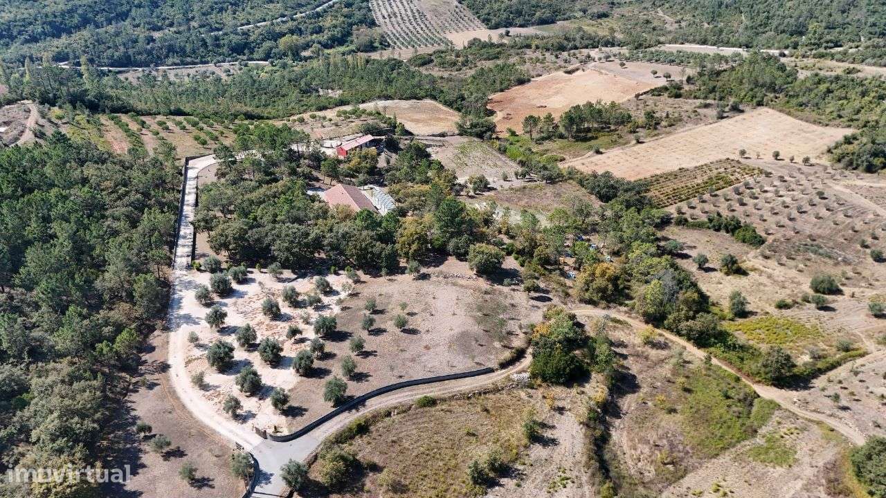 Excelente quinta de sonho localizada em Abiúl, Pombal - Grande imagem: 4/39