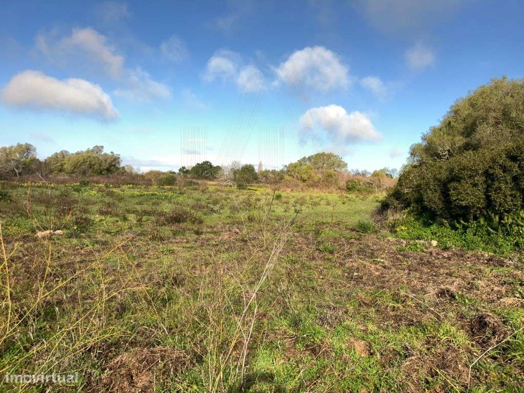 Terreno à venda em Pinheirinhos - Sesimbra (Castelo) - Grande imagem: 4/9