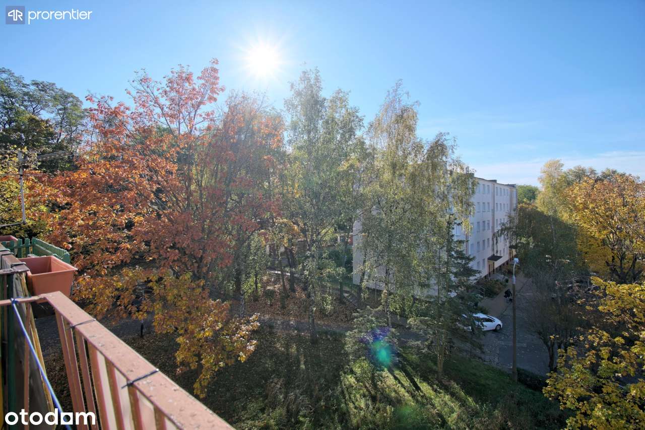 Niskobudżetowe mieszkanie na cichym i zielonym osiedlu - BEZ PROWIZJI-19