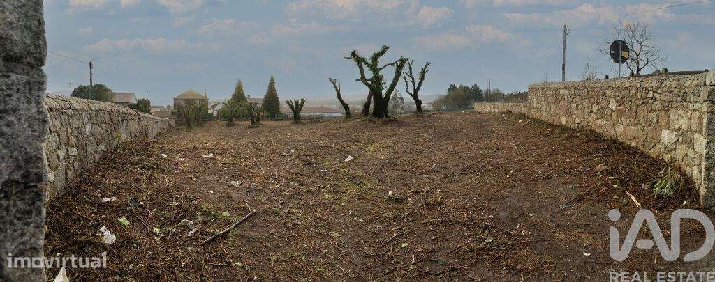Terreno em São romão de neiva de 7500,00 m2 - Grande imagem: 3/9