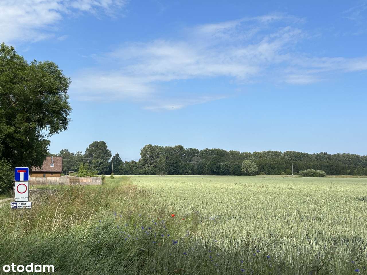 Działka budowlana blisko plaży Wyspa Sobieszewska-3