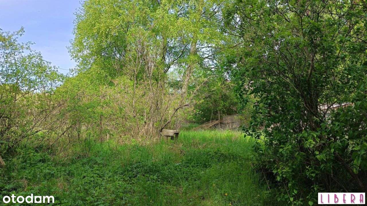 Tylko u nas! Działka w Łochowie - Pełny obrazek: 4/8