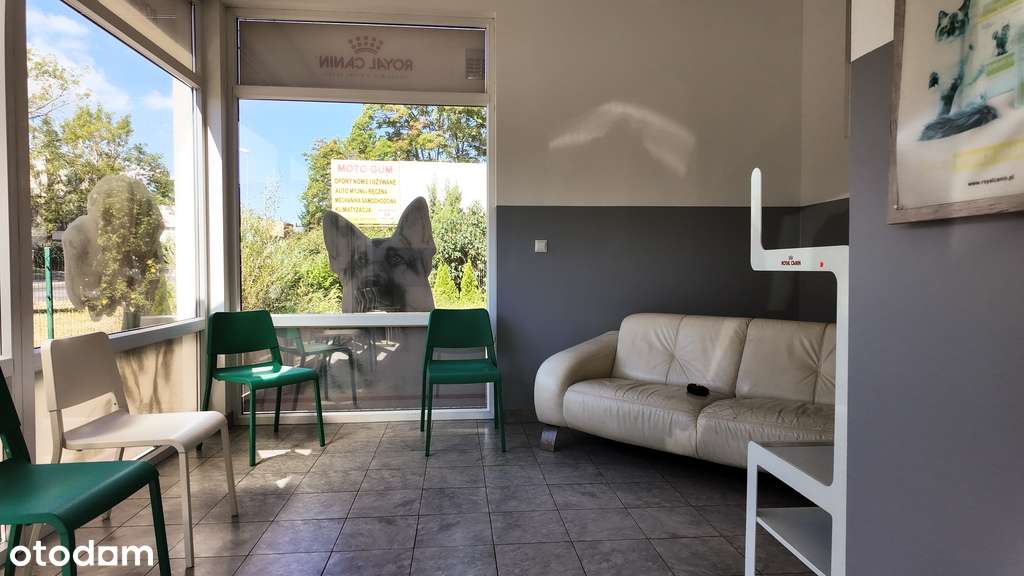 Wolnostojący budynek usługowy w atrakcyjnej lokali-1