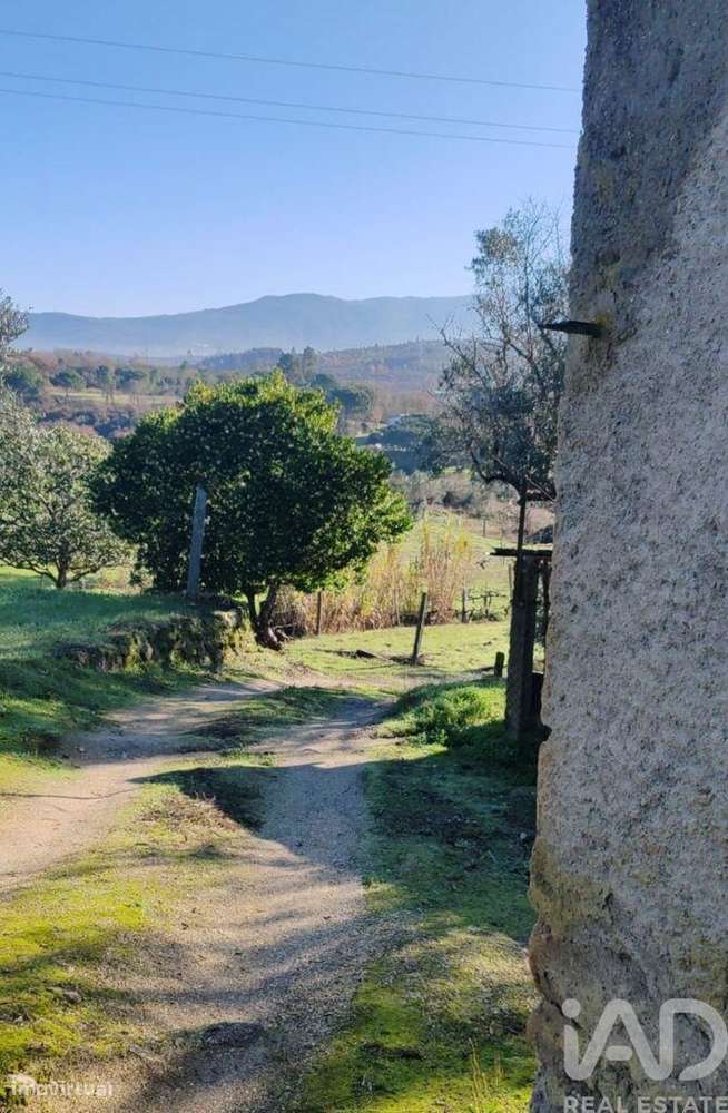 Terreno em Oliveira do Hospital e São Paio de Gramaços - Grande imagem: 3/6
