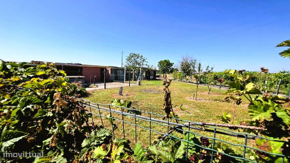 Quinta  com Moradia T6, Casa T2, Piscina Aquecida -  Salvaterra de Mag-23