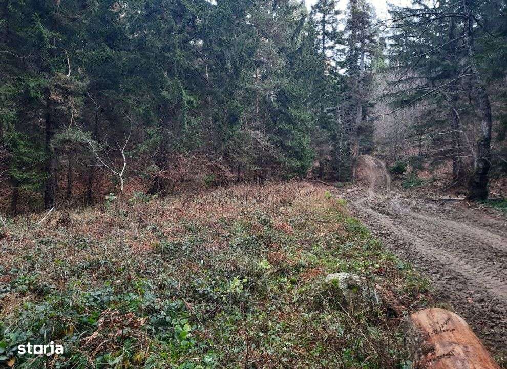 Teren extravilan , 2500 metri Cod:160694 - Imagine principală: 4/5