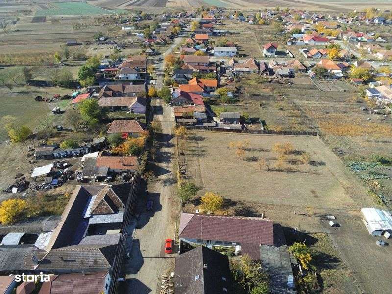 Persoana fizica, vand teren intravilan 3000mp Loc. Sambateni Jud. Arad - Imagine principală: 4/6