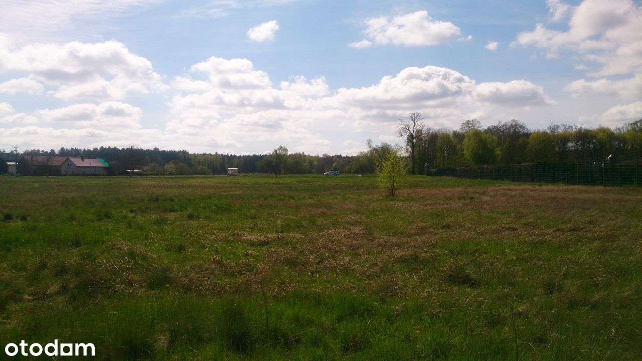 Sprzedam Działki Budowlane Lubsko - Chełm Żarski - Pełny obrazek: 5/5
