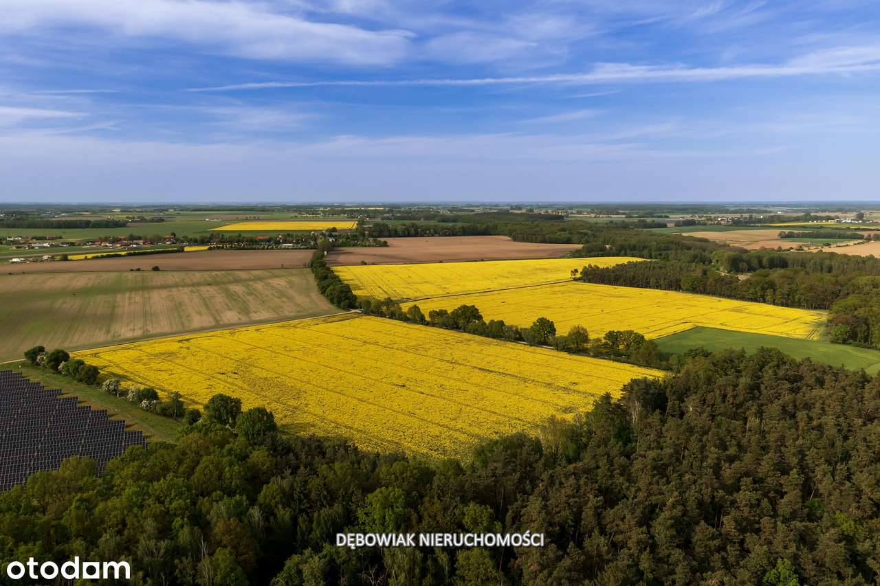 II etap sprzedaży / Atrakcyjne nowe osiedle w Gronówku / blisko Leszna-7